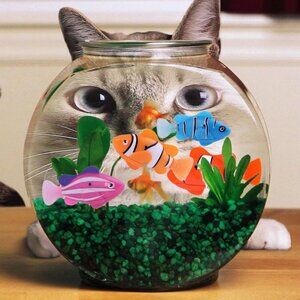 Lot of 4: Robo Fish Series 1 *EUC* MSRP: $32+tax